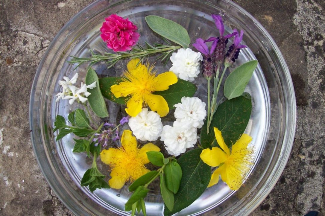 fiori-San-Giovanni-2-1100x732